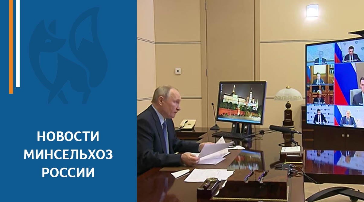 Дмитрий Патрушев выступил на заседании Совета при Президенте по развитию местного самоуправления